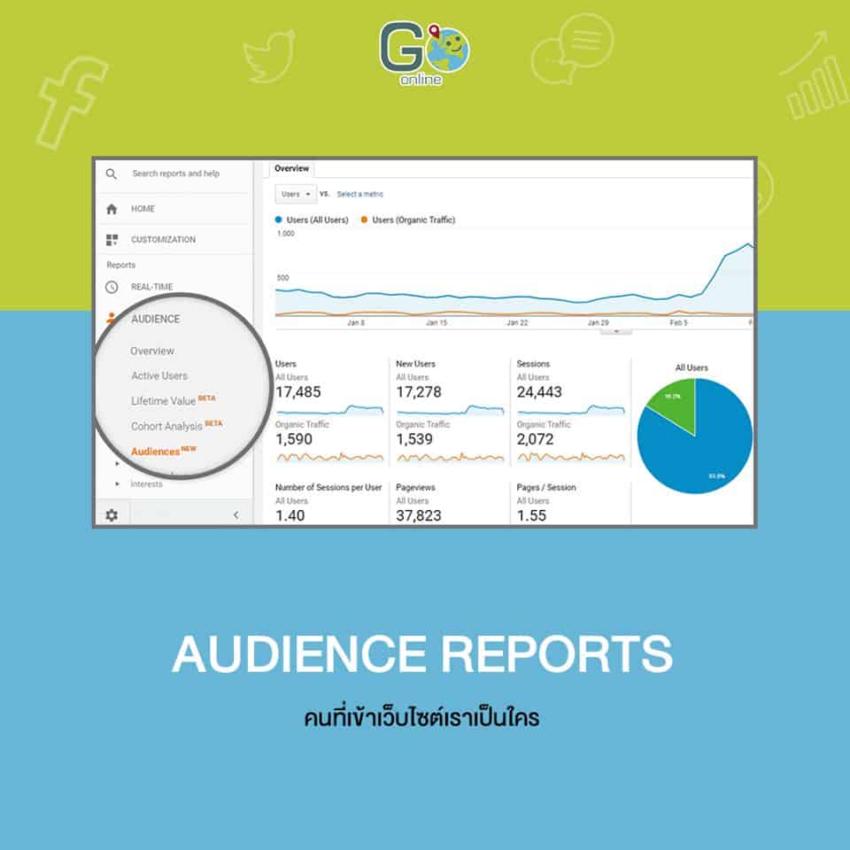 Audience Reports