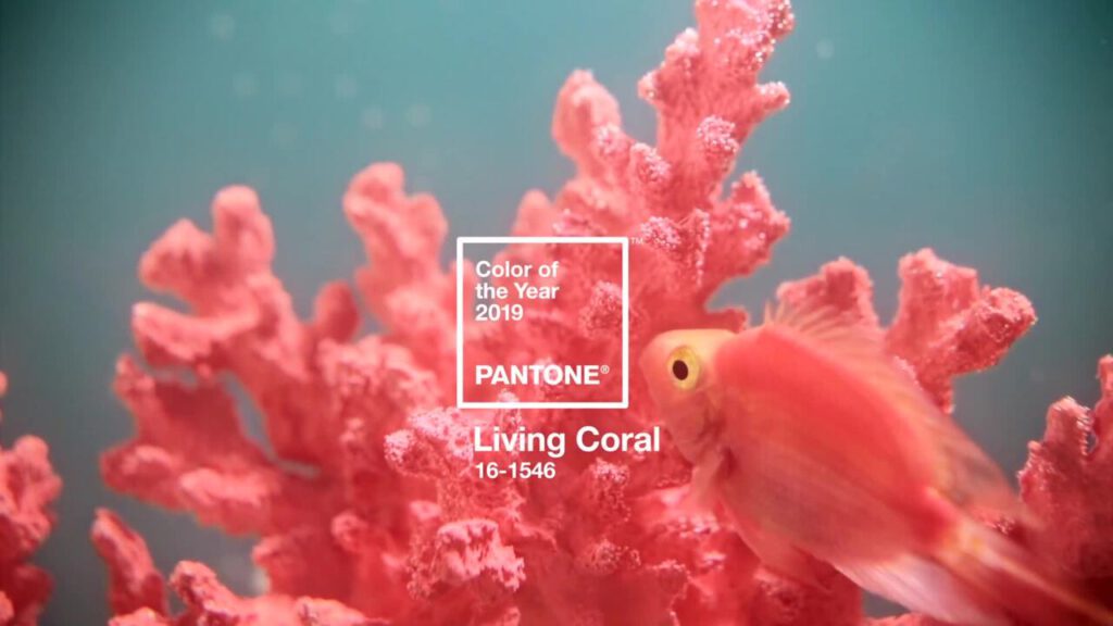 Pantone Color of the Year 2019 Living Coral